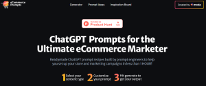 Ecommerce Prompts